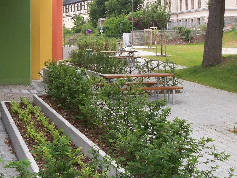 Bepflanzung der Außenanlage Grundschule Burkhardtsdorf Bepflanzung der Außenanlage Grundschule Burkhardtsdorf