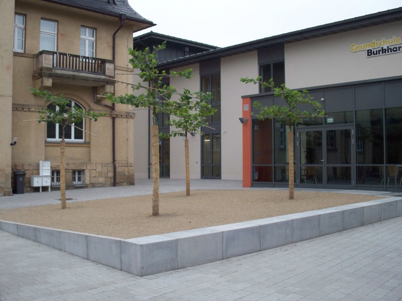 Bepflanzung der Außenanlage Grundschule Burkhardtsdorf Bepflanzung der Außenanlage Grundschule Burkhardtsdorf
