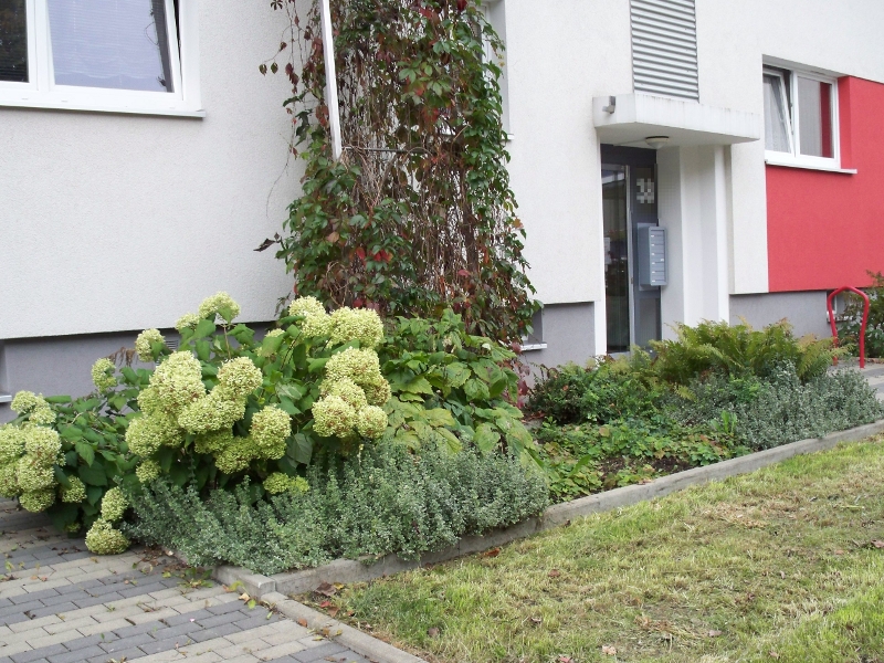 Begrünung in Chemnitz Begrünung in Chemnitz