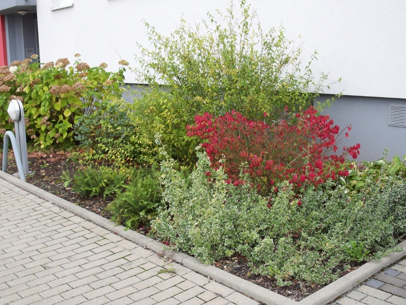 Begrünung in Chemnitz Begrünung in Chemnitz