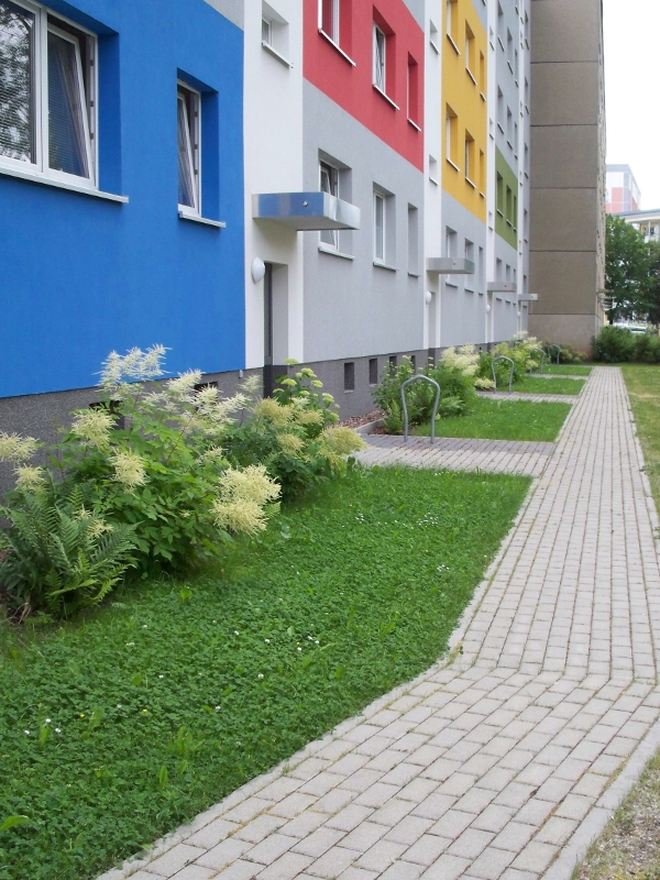 Begrünung in Chemnitz Begrünung in Chemnitz