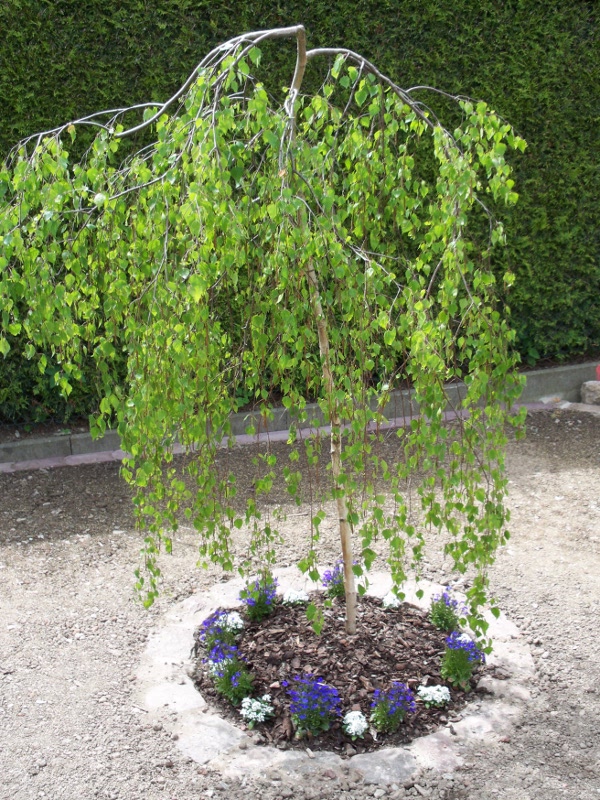 private Gartenanlage private Gartenanlage